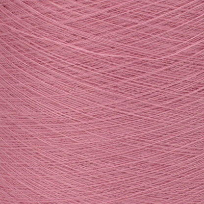 anemone-445